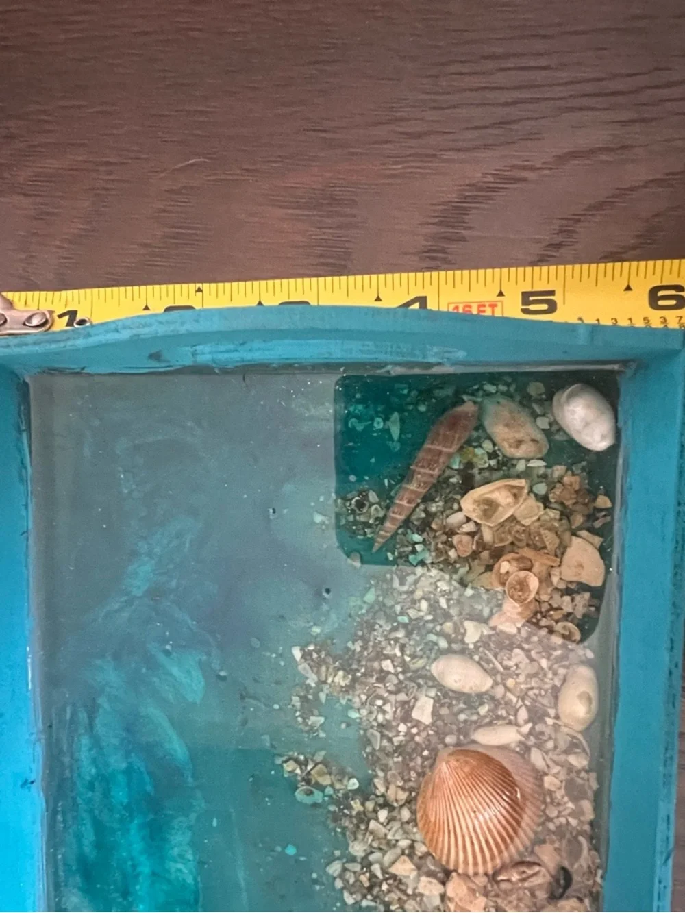 Teal Coastal Wooden Decorative Serving Tray with Shell Accent and Resin Ocean